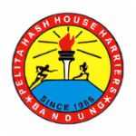 logo11