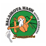 logo47
