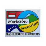 logo95