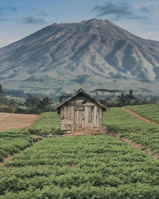 gunung malang1